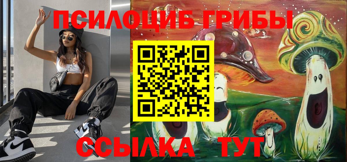 Псилоцибиновые грибы MAGIC MUSHROOMS Махачкала