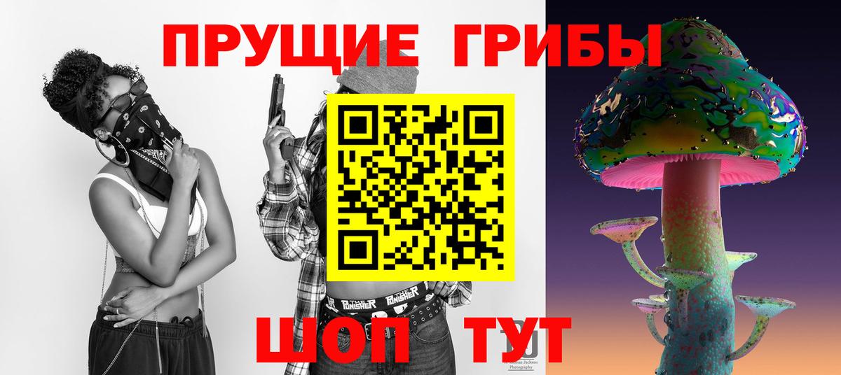 Махачкала  Галлюциногенные грибы MAGIC MUSHROOMS  Вход с VPN 